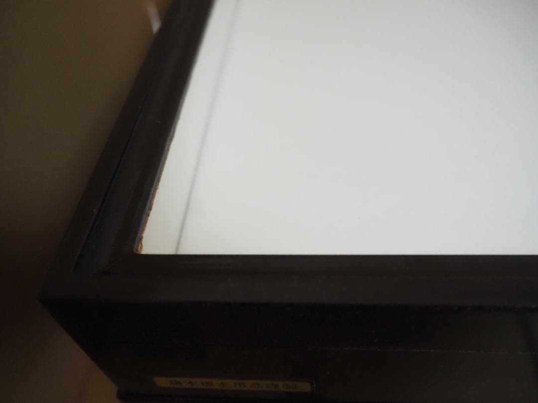 標本箱　ドイツ箱　大型 5個セット(中古、藤本標本用品製)