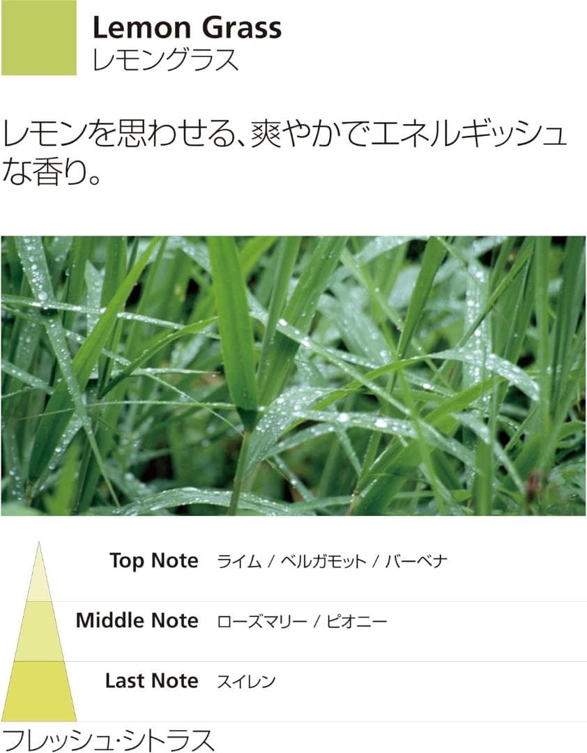 Millefiori フレグランスディフューザー (M) レモングラス