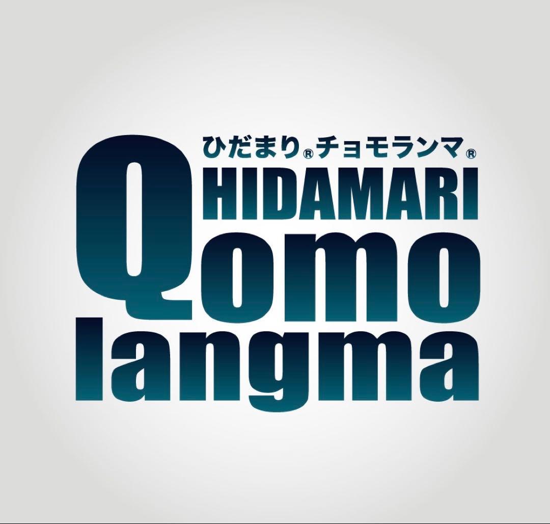 【正規品】ひだまり肌着 チョモランマ 婦人 タイツ L 箱なし特価 QMS862
