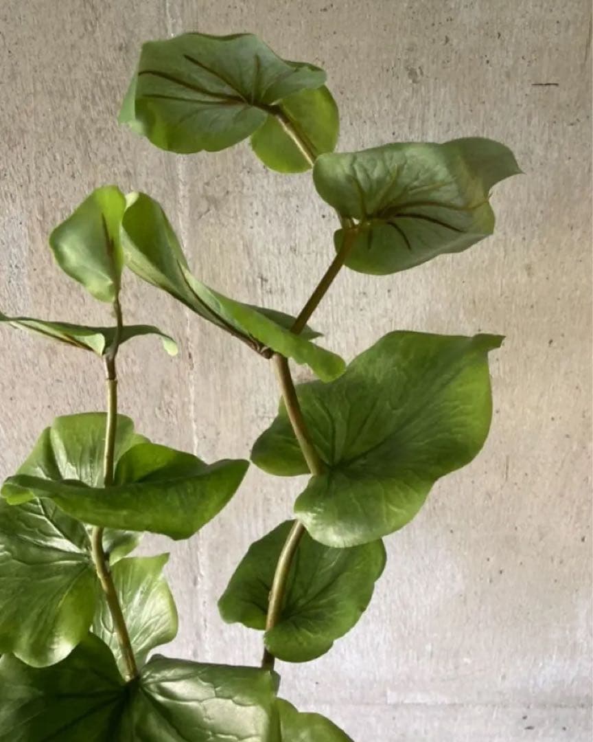 光触媒　人工観葉植物　ウォールグ リーン　フェイクグリーン　シーグレープ100