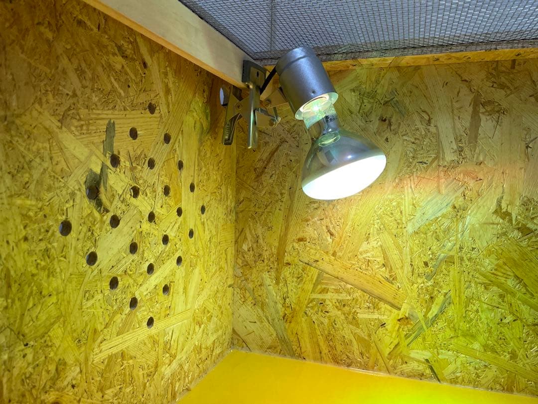 爬虫類ケージ　爬虫類飼育ゲージ　90×45×45 天井金網仕様