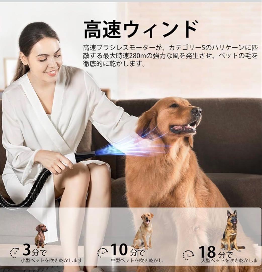 動作確認のみ／petaboo Levante 400 ペット用ドライヤー