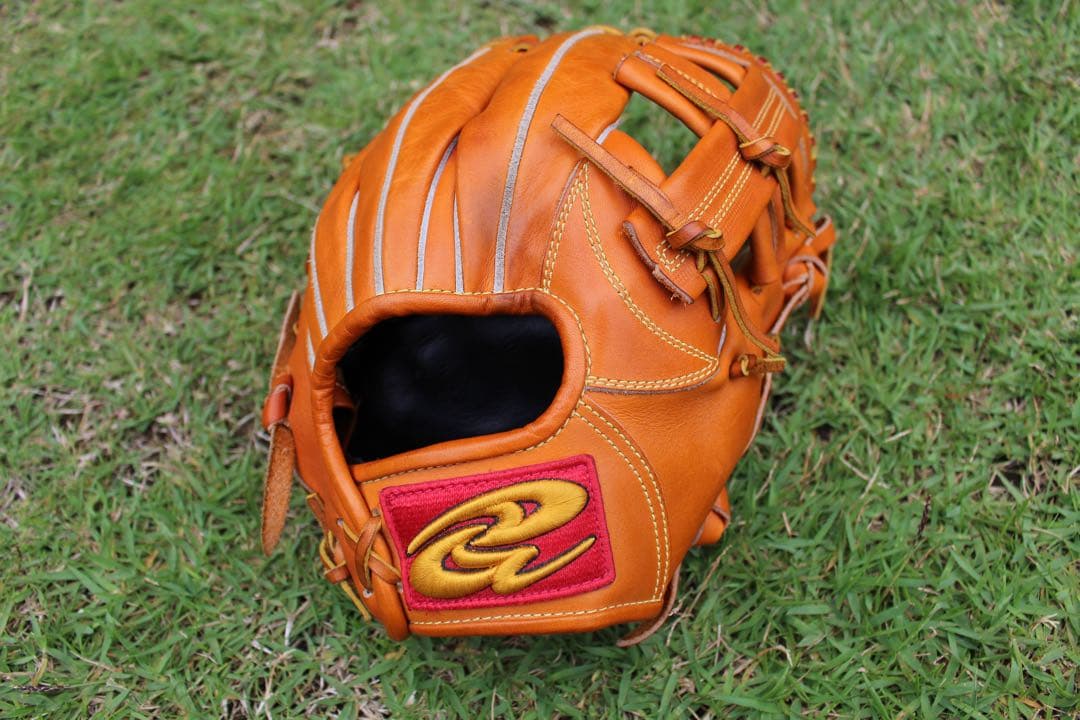 Donaiya ドナイヤ　軟式グローブ　DJNII