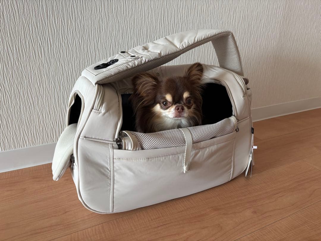 新品 SSOOOK SLINGBAG V.スマート バッグ左 スリングバッグ