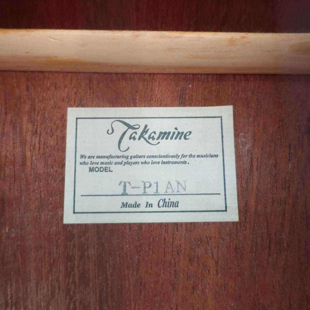 Takamine T-P1AN アコースティックギター