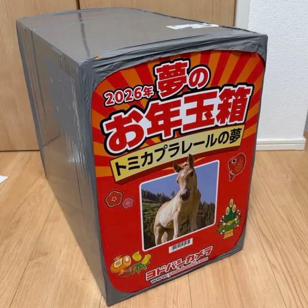 2026年 夢のお年玉箱 トミカプラレールの夢 ヨドバシ 福袋