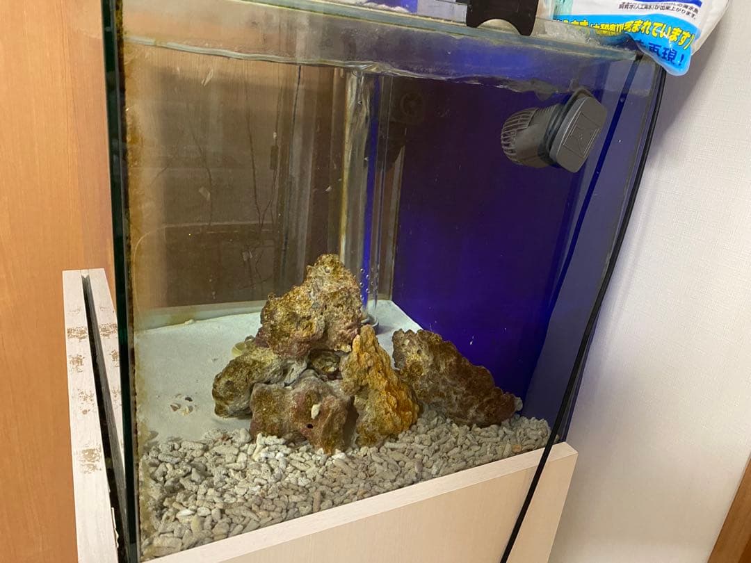 土日月セール オーバーフロー水槽 水槽台 濾過層付き