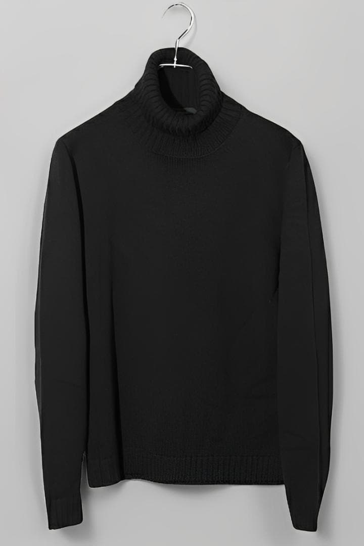 ZANONE ザノーネ 5ゲージ ウールソリッド タートルネック ニット 48