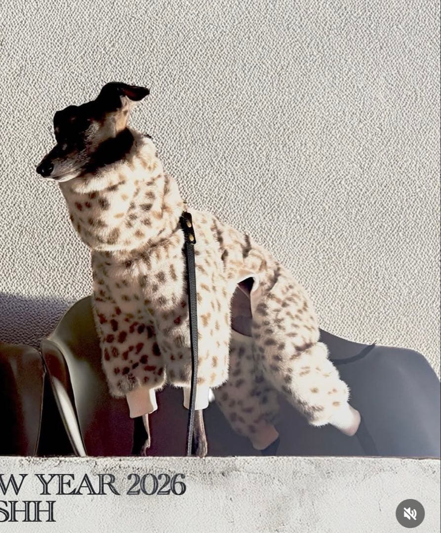 USHH 服 ロンパース イタグレ