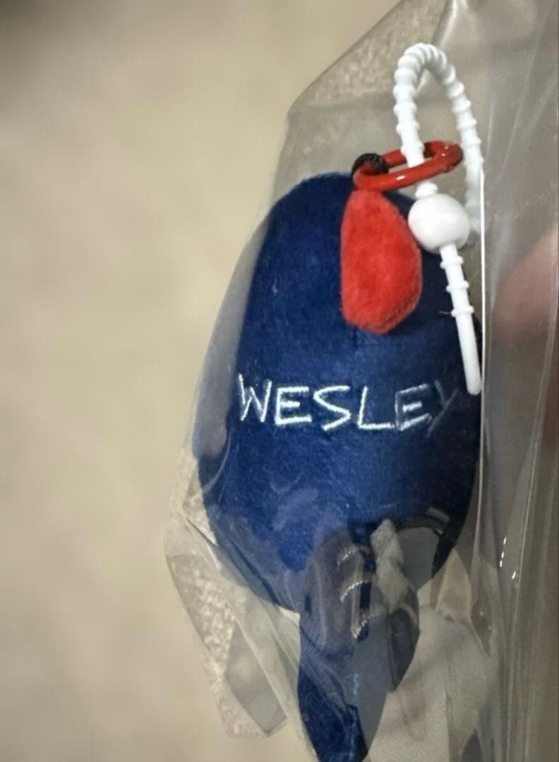 【新品・未開封】WilliamEst Wesley ぬいぐるみ DOLL