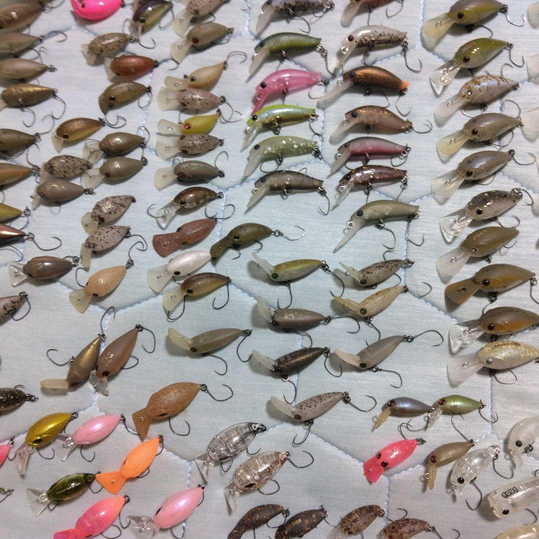 エリアトラウト引退　オリカラ大量　ロデオ、ディスプラウト、ティモン等