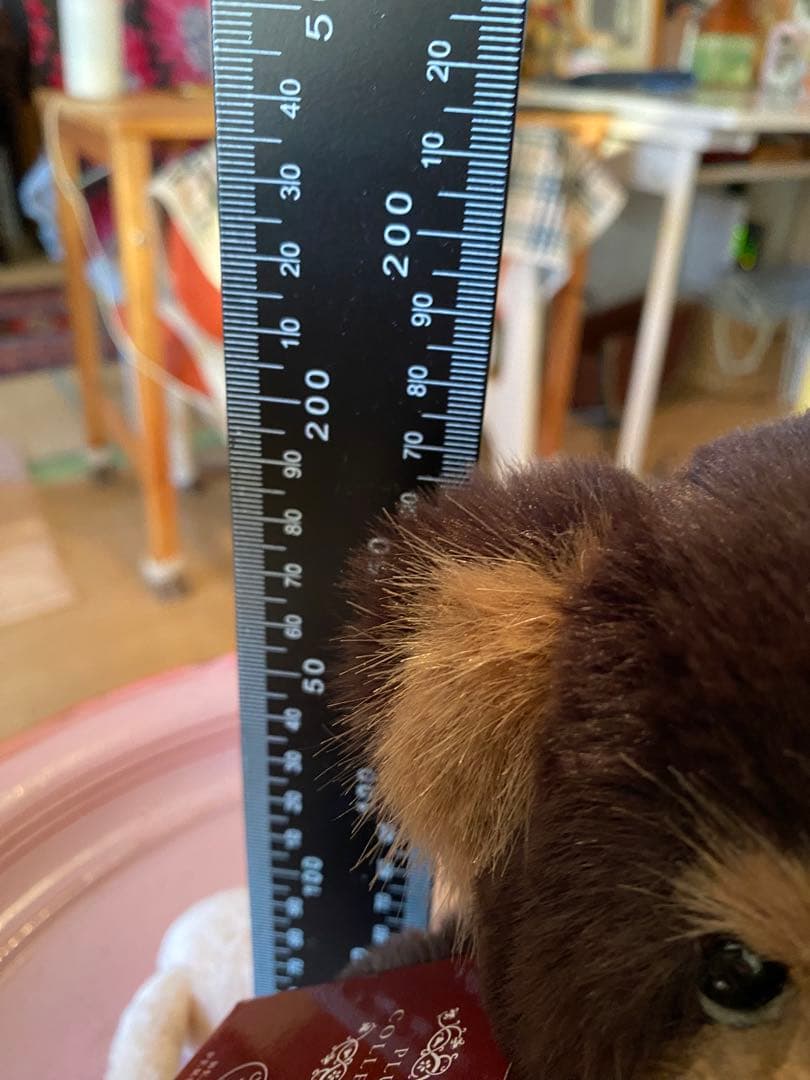 チャーリーベアーズ　 woodend テディベア　ダークブラウン