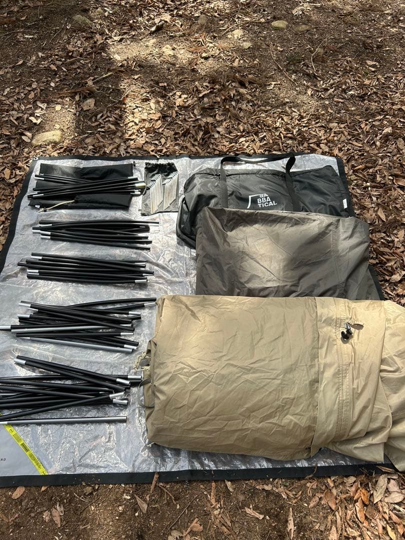 サバティカル　アルニカ　初期モデル