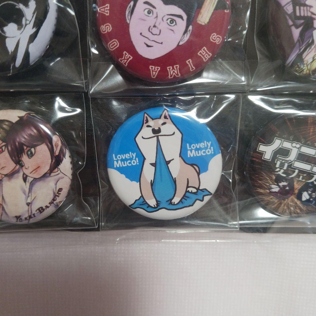 イブニング 夏フェス 2015 抽選 50名 当選品 缶バッジ セット