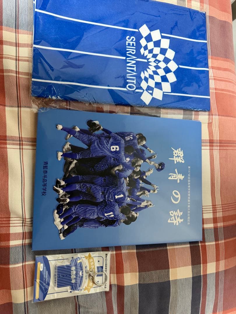 まとめ売り青藍泰斗記念アルバム、キーホルダー、タオル