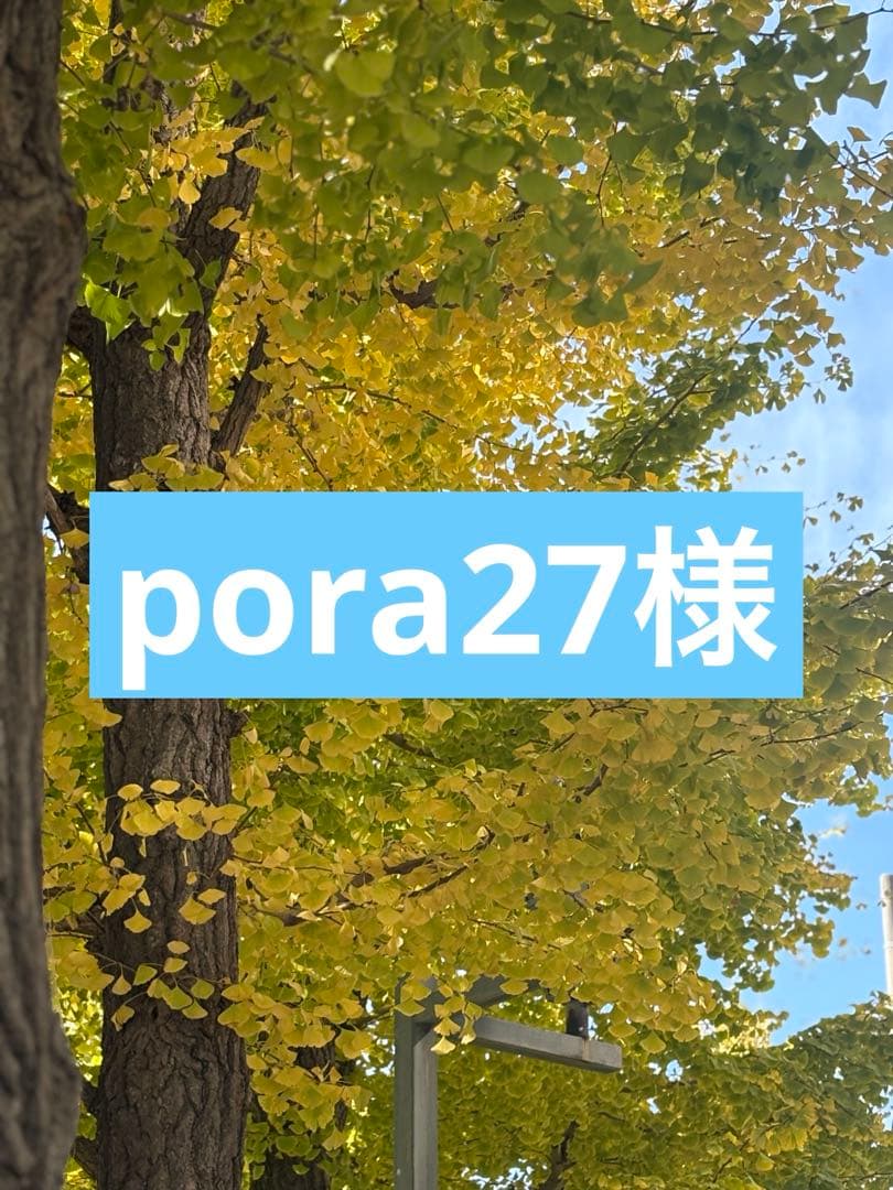 ReFa フィンガーアイロン＆ハートブラシセット