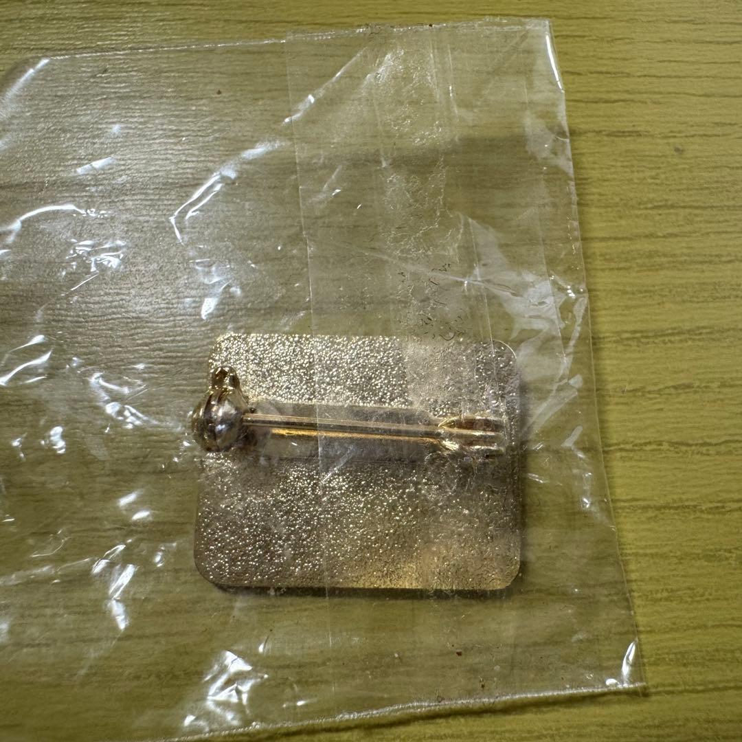 ドミノピザ　BOHスペシャリストバッジ　【Domino's Pizza】