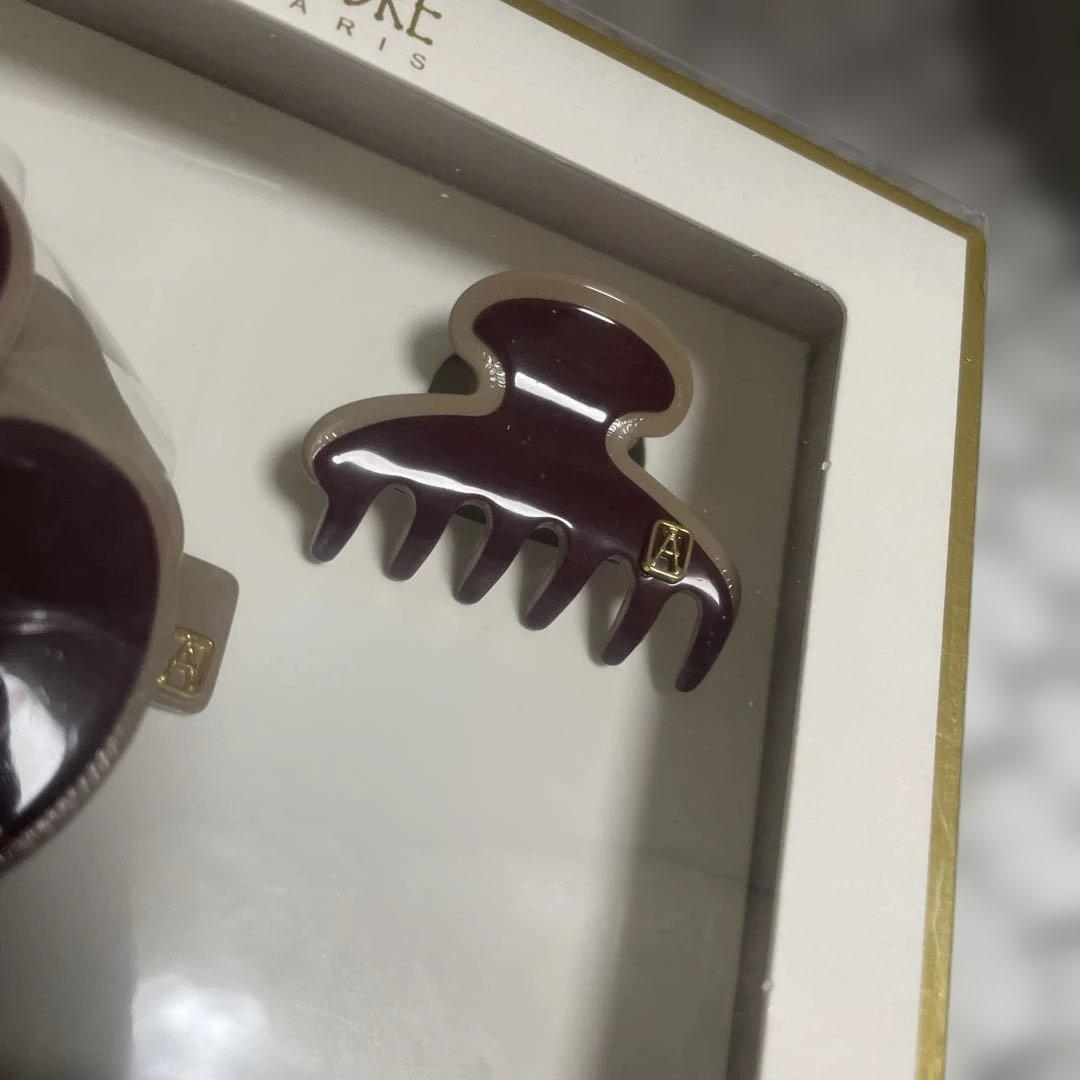 ALEXANDRE DE PARIS ヘアクリップセット