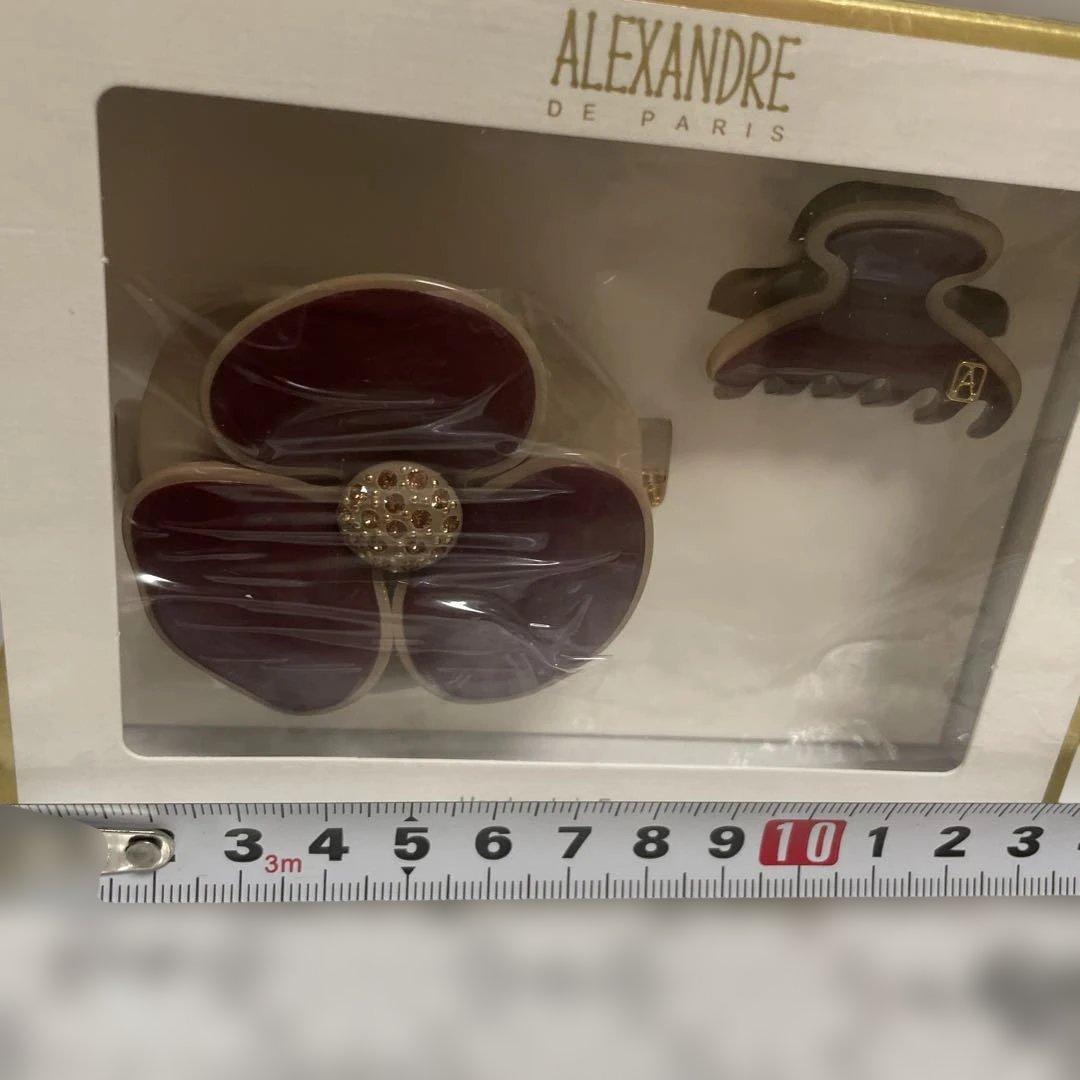 ALEXANDRE DE PARIS ヘアクリップセット