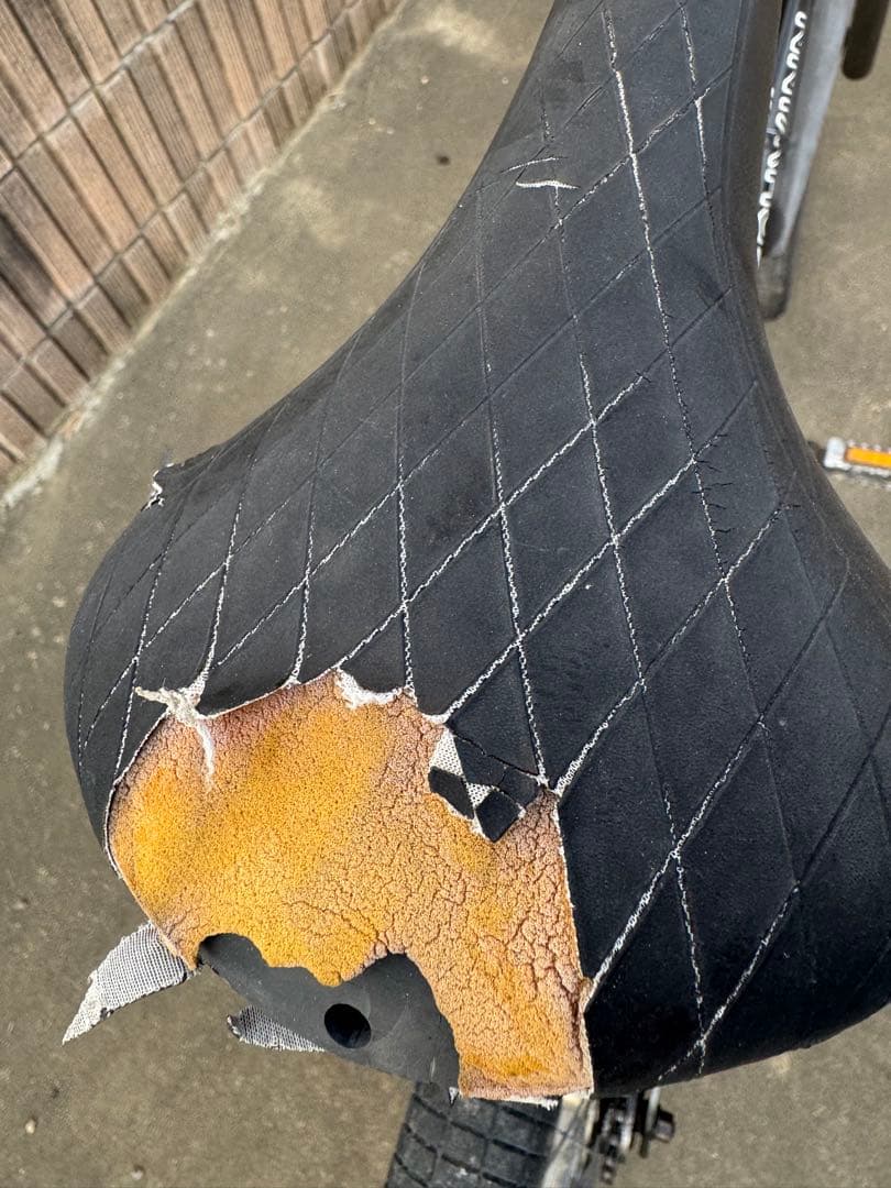 SCHWINN SX-1000 24インチ BMX