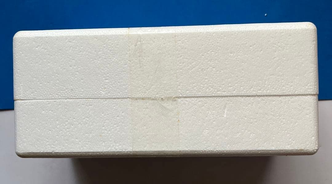 1/18 Nerv Official Business CoupeNERV官用車