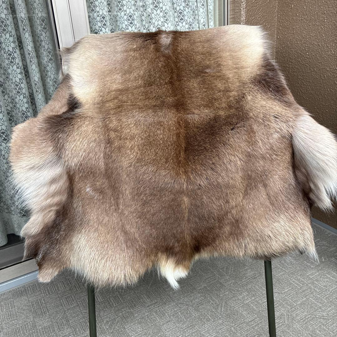 【新品】トナカイ　毛皮