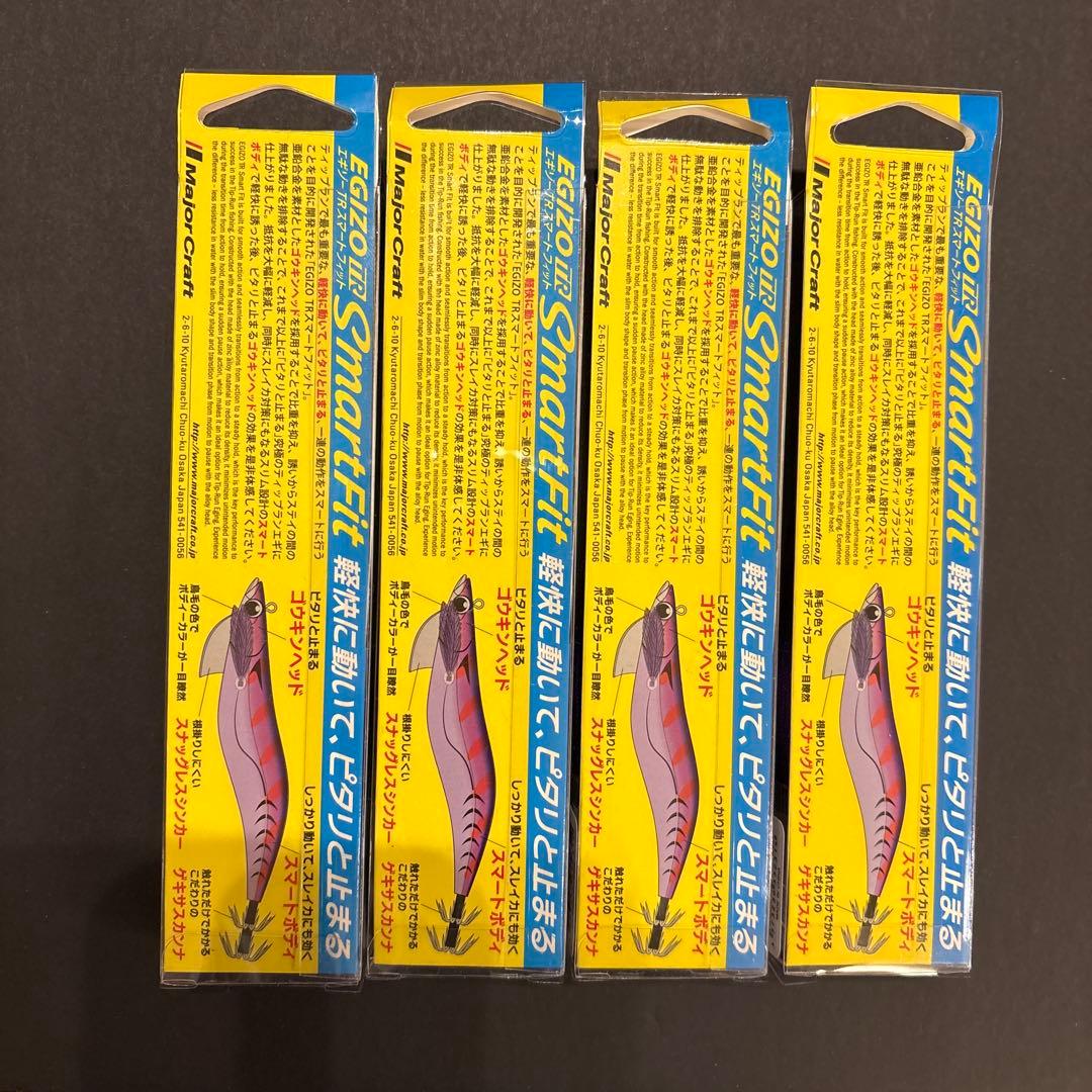 エギゾーTR スマートフィット　パープルパープル