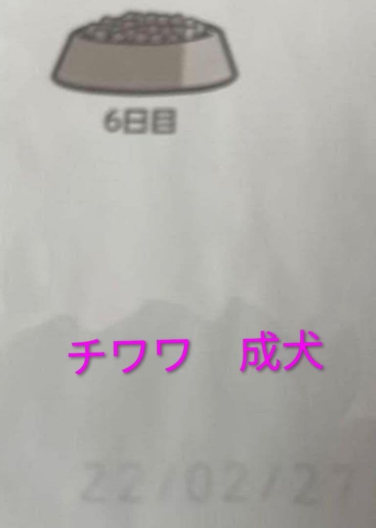 ロイヤルカナン　チワワ　成犬　　　　3キロ×4袋