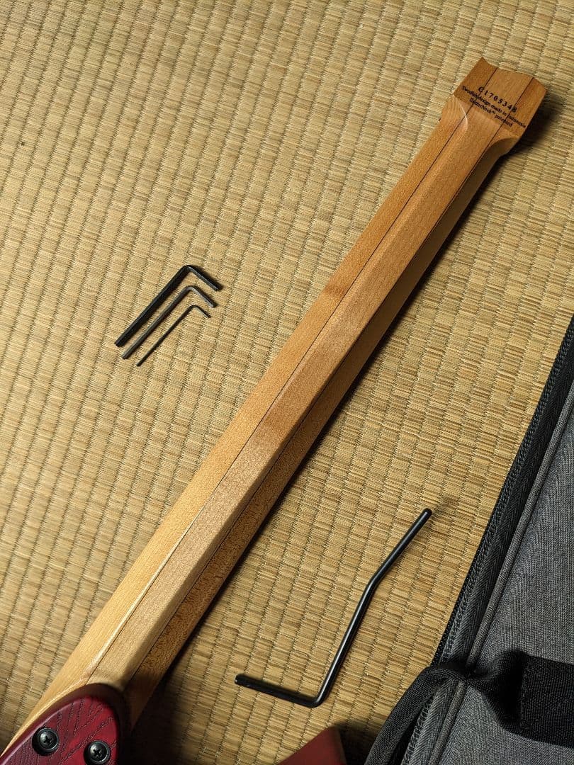 ギター Strandberg Original 6 tremolo red