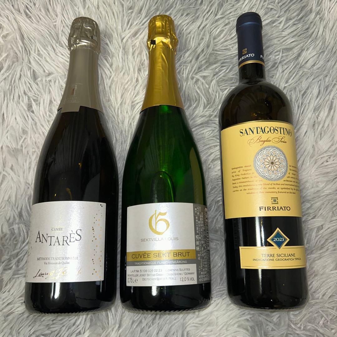 【新品】ワインくじ14本セット スパークリング8種 赤ワイン3種 白ワイン3種