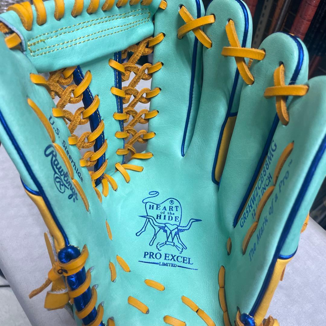 Rawlings Gold Glove 軟式グローブ