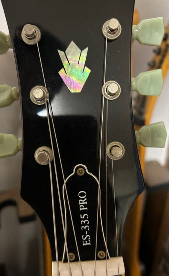 Epiphone ES-335 PROカスタムショプ