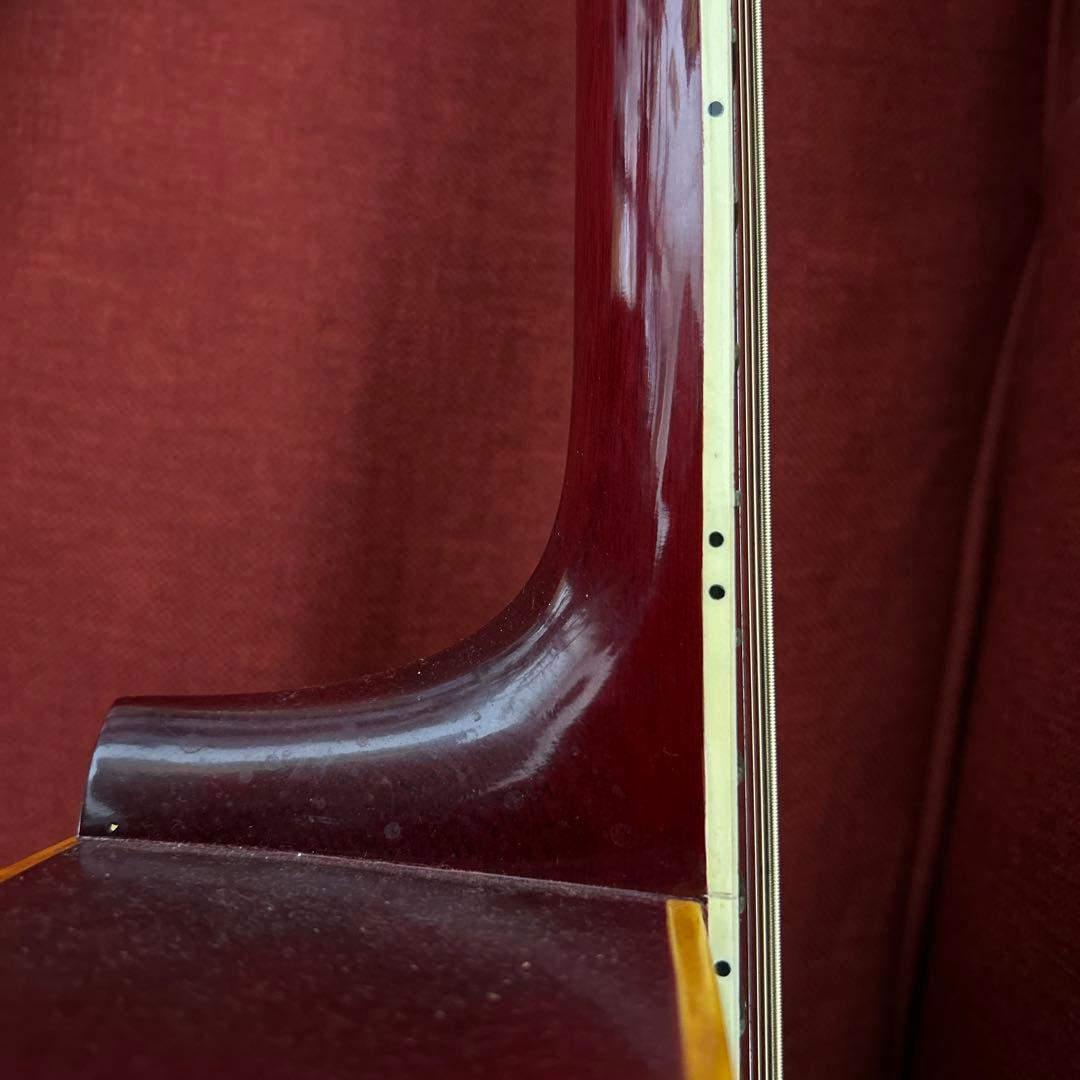 Aria WD-33 アリア　ジャパンビンテージ　ダヴタイプ