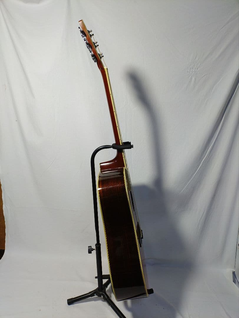 値下げ依頼あり予約済 Morris TF　W-50シリアル No.952198