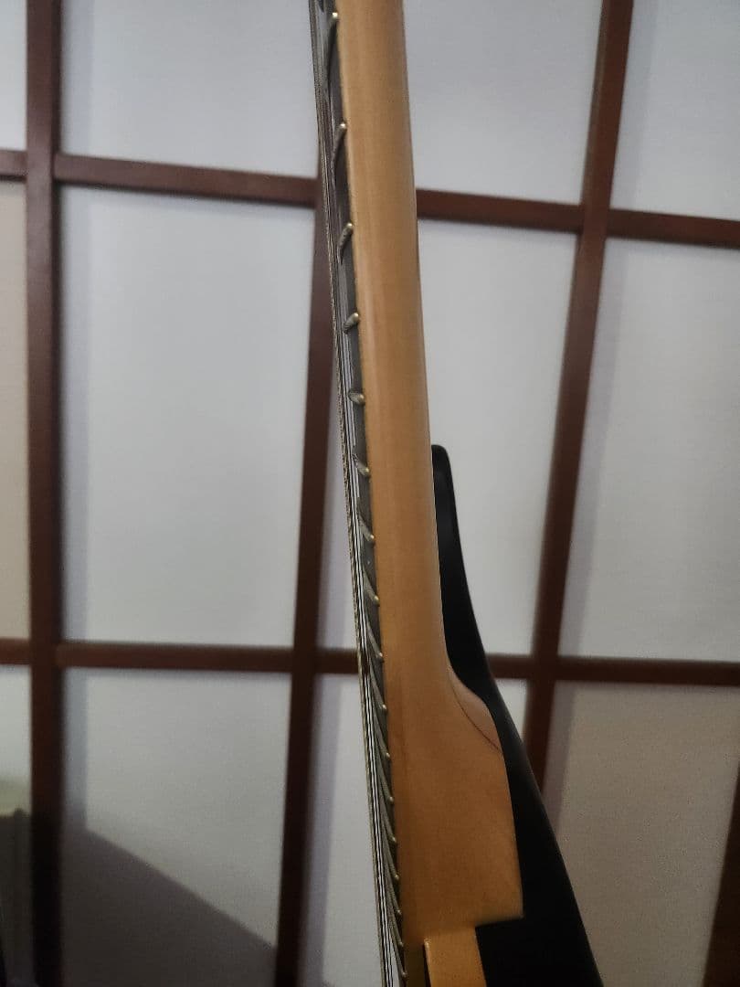 フジゲン Fujigen Expert Elan