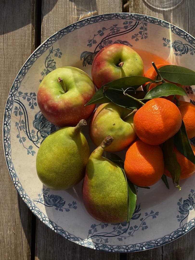 ◆フランスアンティーク｜残1希少大皿100年前サングミンヌプレート30cm花刻印
