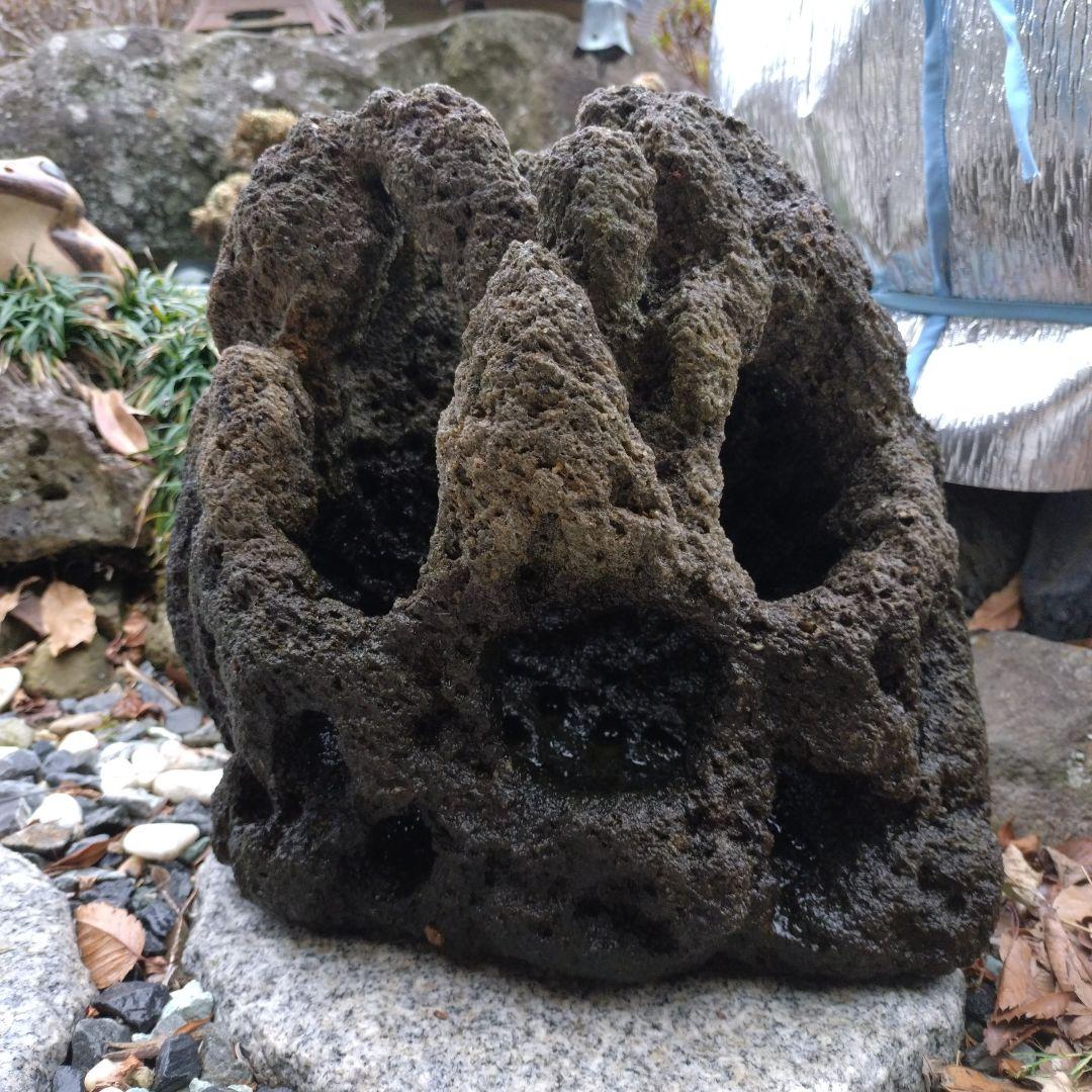 黒い溶岩石 水槽用石 大型