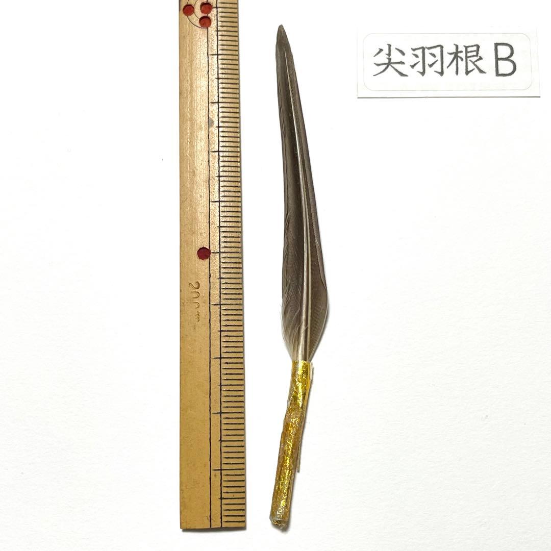 盆石道具 尖羽根 (B)