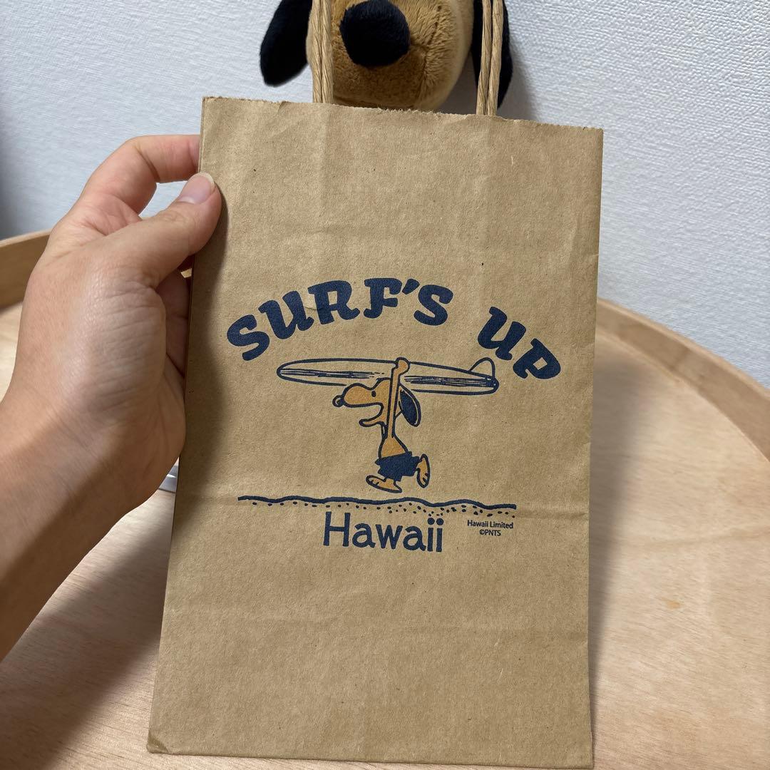 連休限定値下げSURF'S UP ハワイ限定スヌーピーおまけ付き