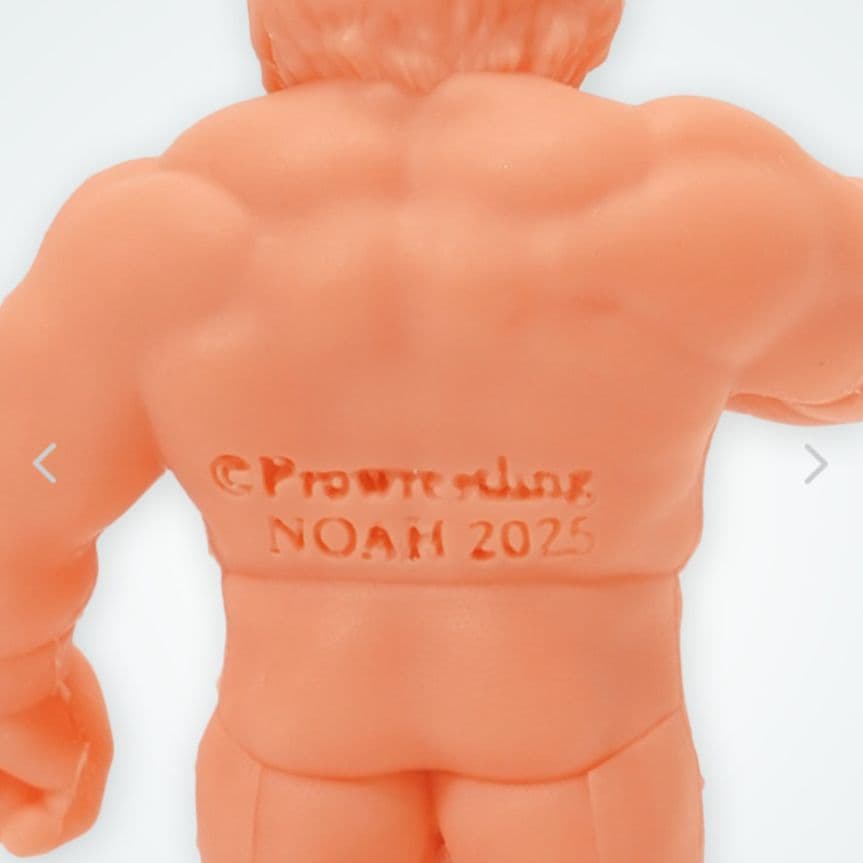 ゴッコ堂 ゴッ消し PRO WRESTLING NOAH / GOCCODO