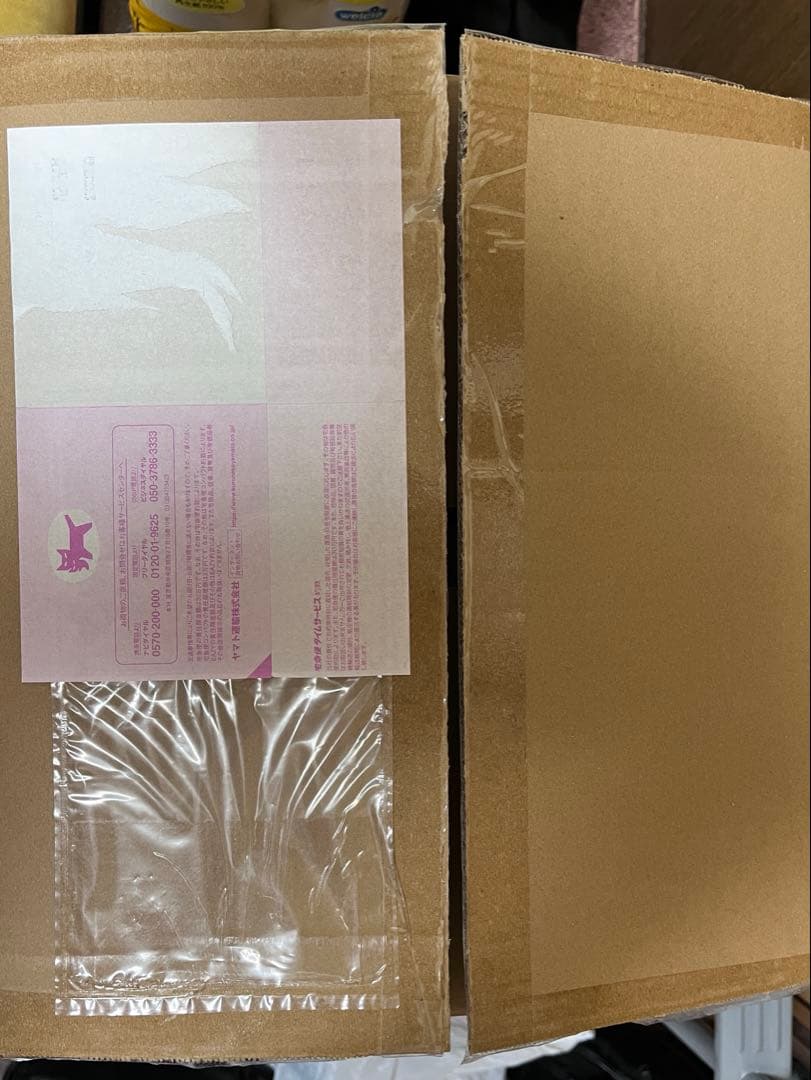 ドウデュース　アイドルホースでかもっち