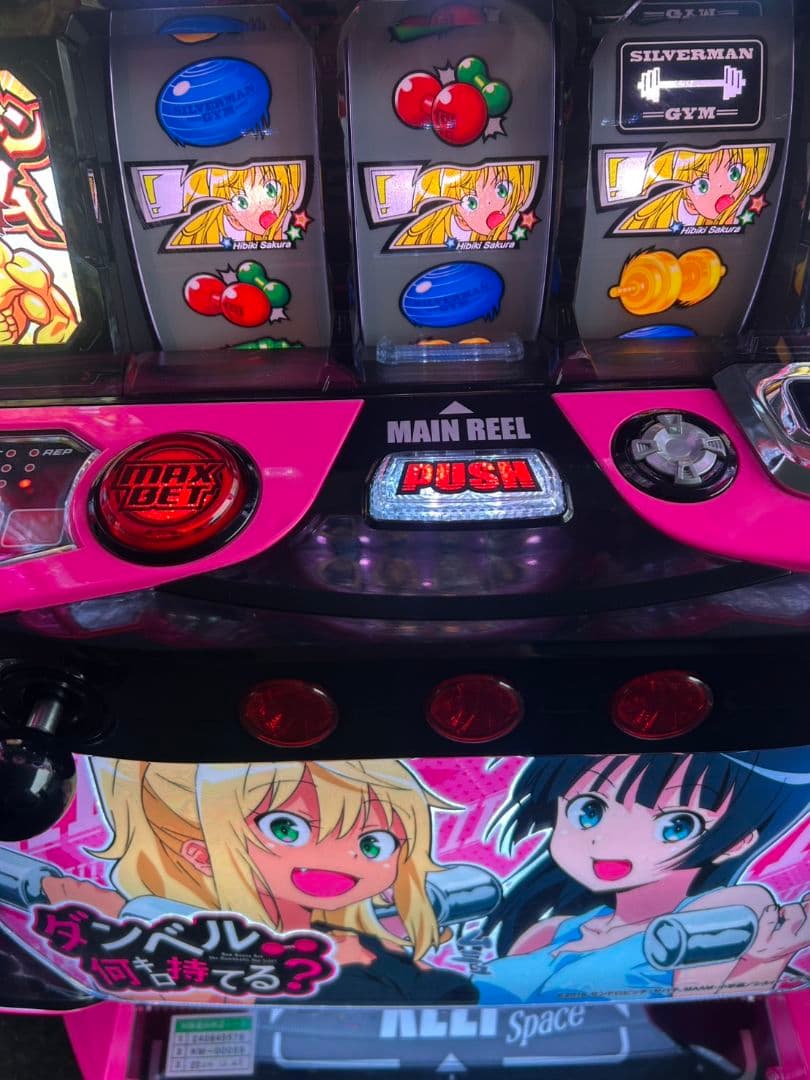 家庭用改造済み　スマスロ　Lダンベル何キロ持てる？X 送料込み