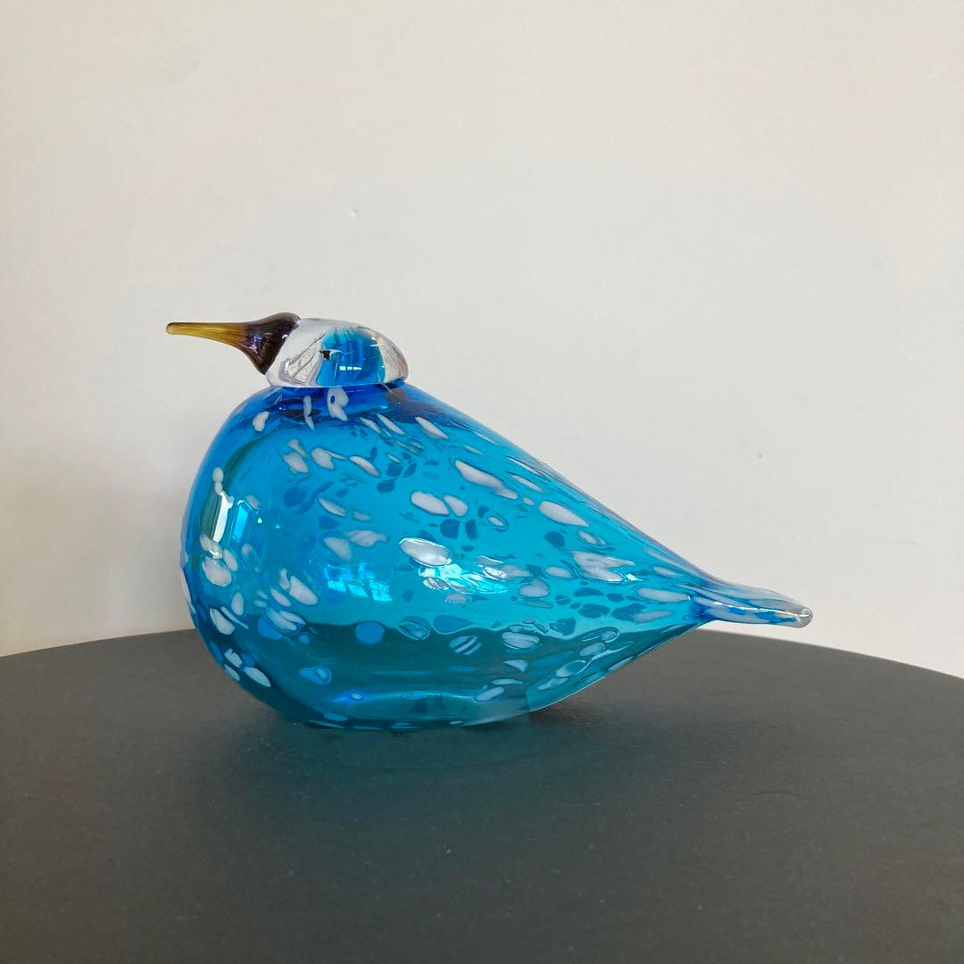 イッタラバード　ブルーフィンチ　blue finch ④