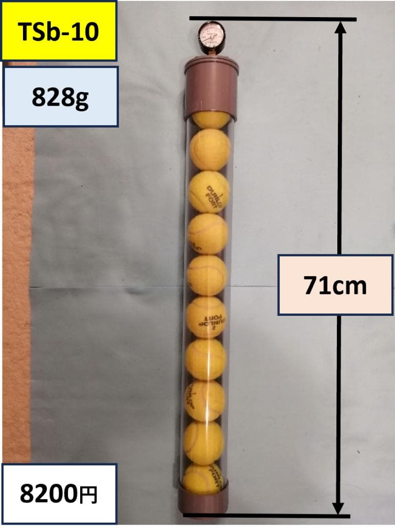 TSb-10（ボール１０個同時再生可能）★透明　圧力計付　２気圧可➩世界初商品