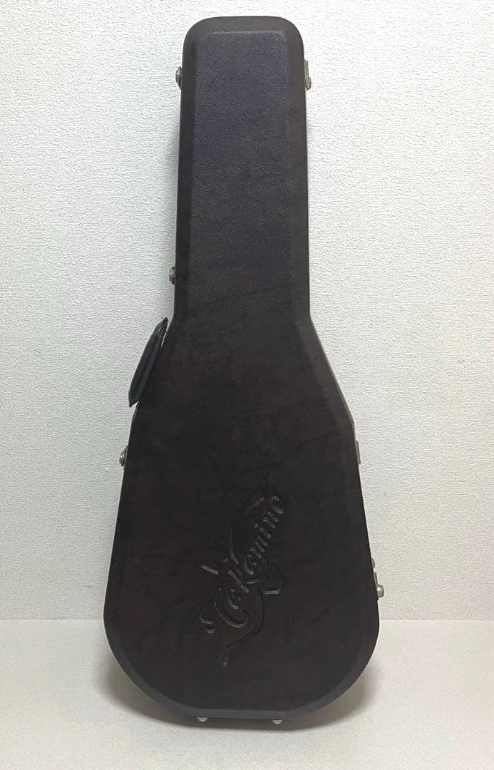 Takamine DSP110 エレアコ アコギ ハードケース付属 高峰