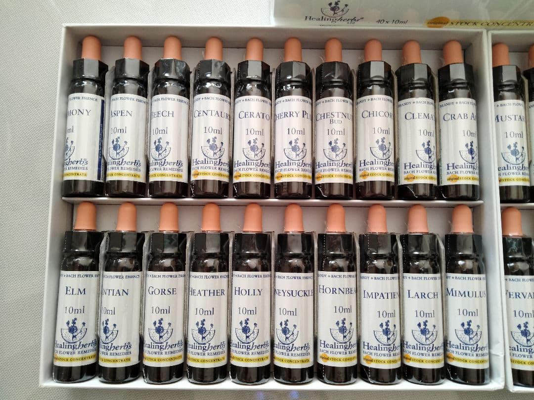 kazunoページ■52000+16700=68700ヒーリングハーブス社