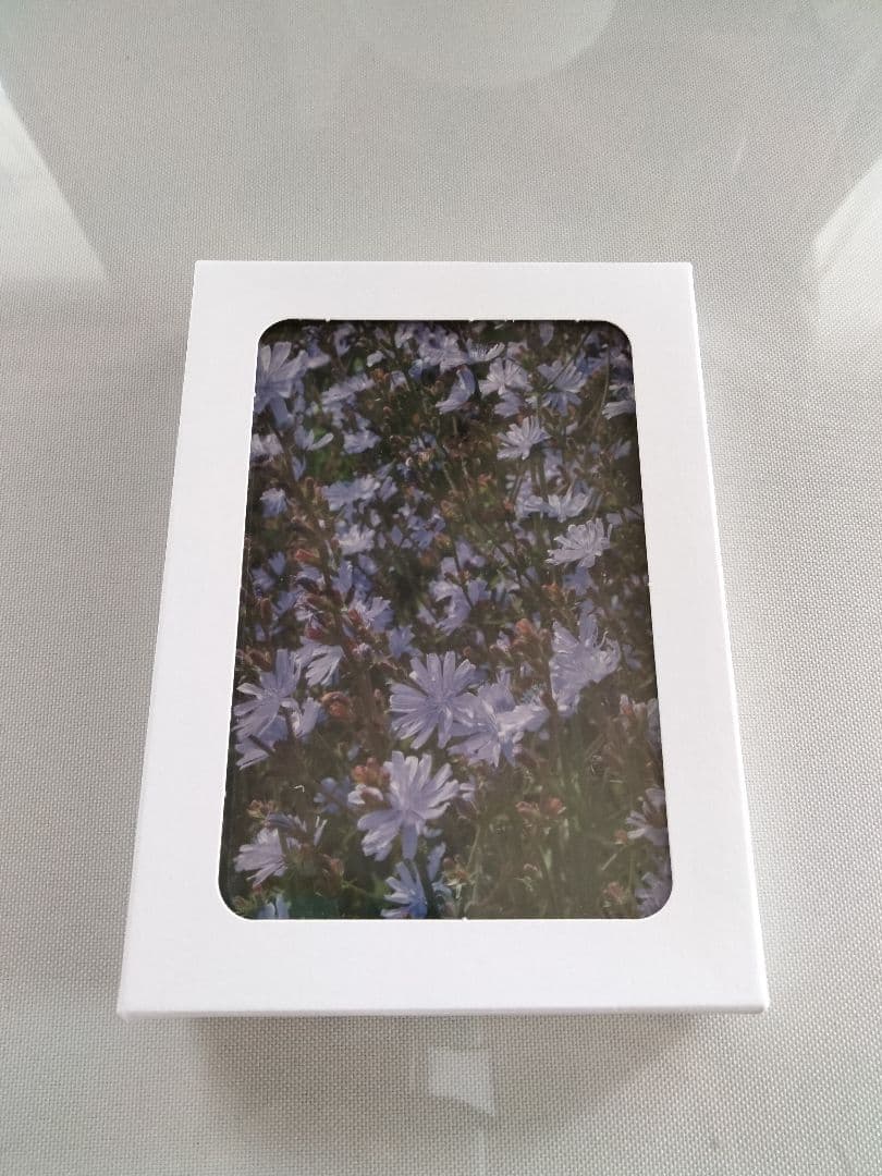 kazunoページ■52000+16700=68700ヒーリングハーブス社