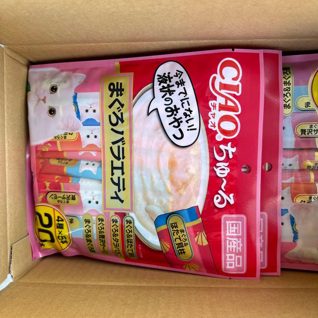 猫　　最終値下げしました！