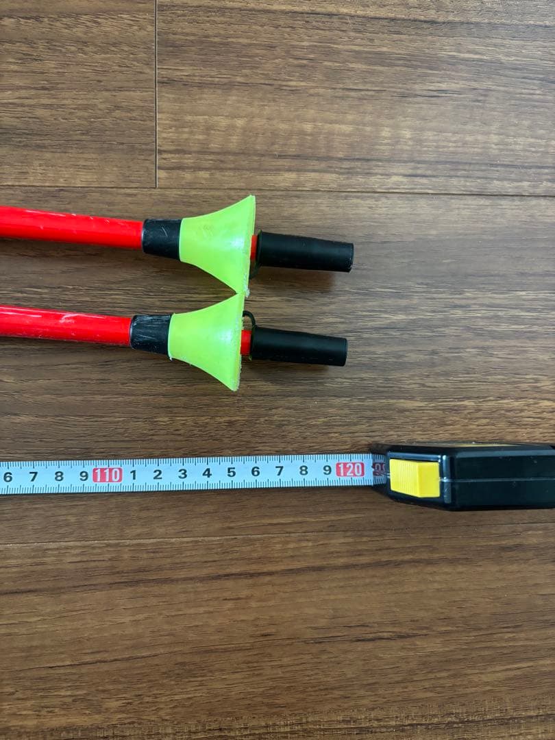 レキ　LEKI ストック