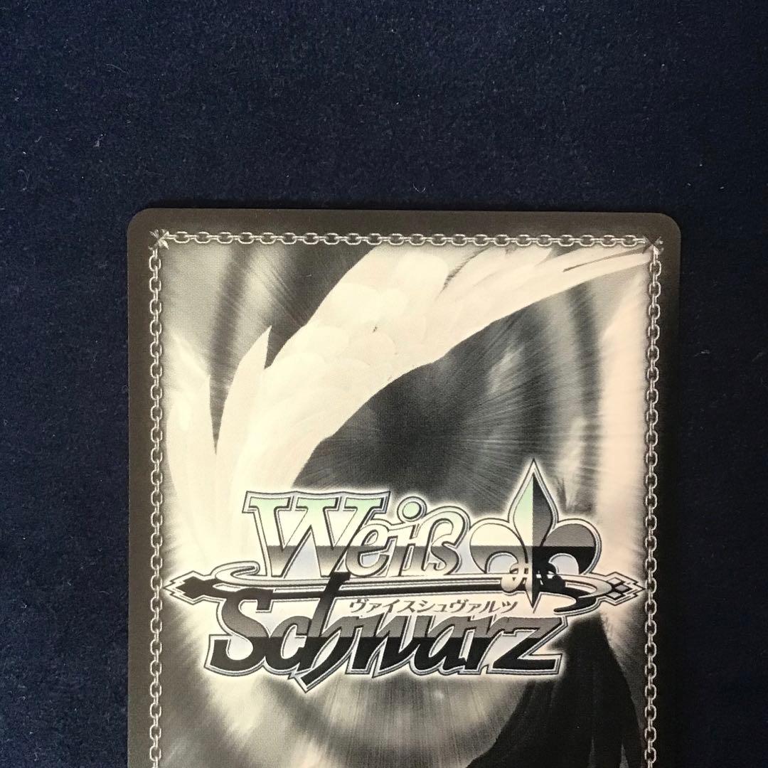 ヴァイスシュヴァルツ　自然とのふれあい ルビー SSP サイン